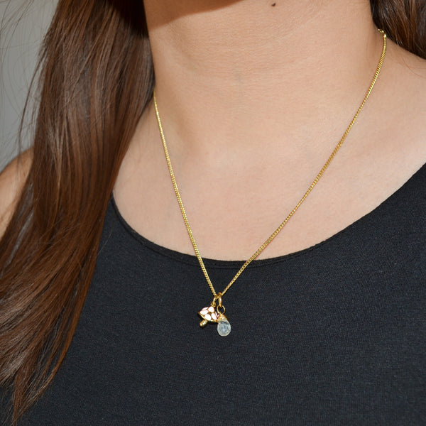 Collar Mycena