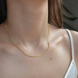 Collar Corto Barbada