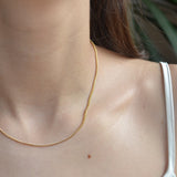 Collar Corto Barbada