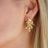 Broqueles Silvestres