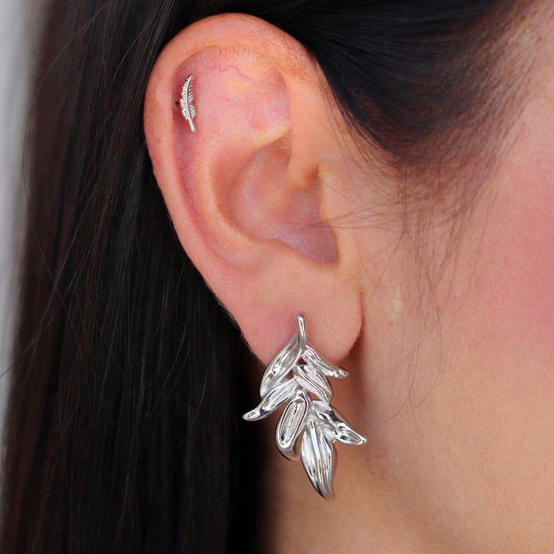 Broqueles Silvestres