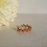 Anillo Fer