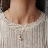 Collar Fresa