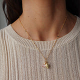 Collar Fresa