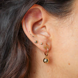 Aretes Aurea