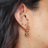 Aretes Aurea
