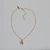 Collar Fresa