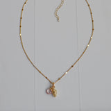 Collar Fresa