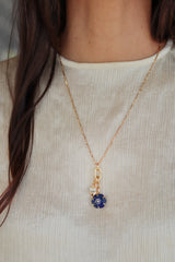 Collar Austral