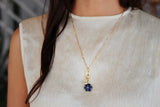 Collar Austral