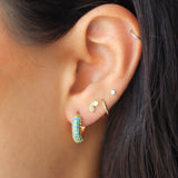 Aretes Nival