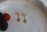 Aretes Lumen