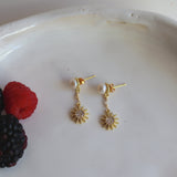 Aretes Lumen