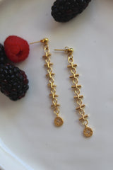 Aretes Astro