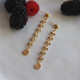 Aretes Astro