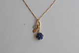 Collar Austral