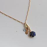 Collar Austral